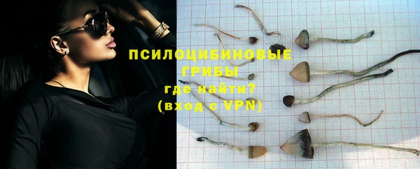 jwh Вяземский