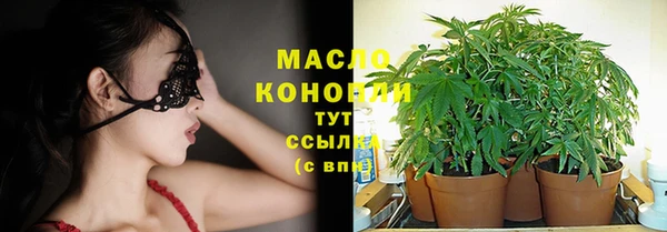 PSILOCYBIN Горняк
