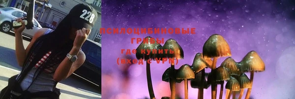СК Горно-Алтайск