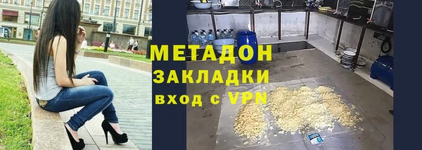 PSILOCYBIN Горняк