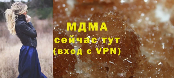 PSILOCYBIN Горняк