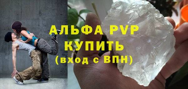 СК Горно-Алтайск