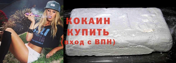 PSILOCYBIN Горняк
