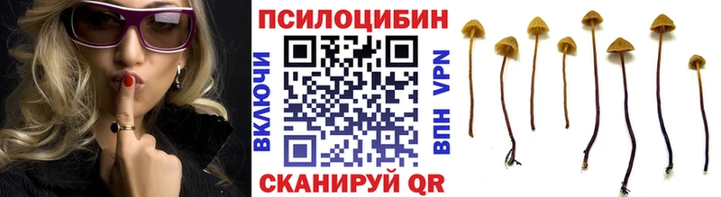 Галлюциногенные грибы Magic Shrooms  omg маркетплейс  Железногорск-Илимский 